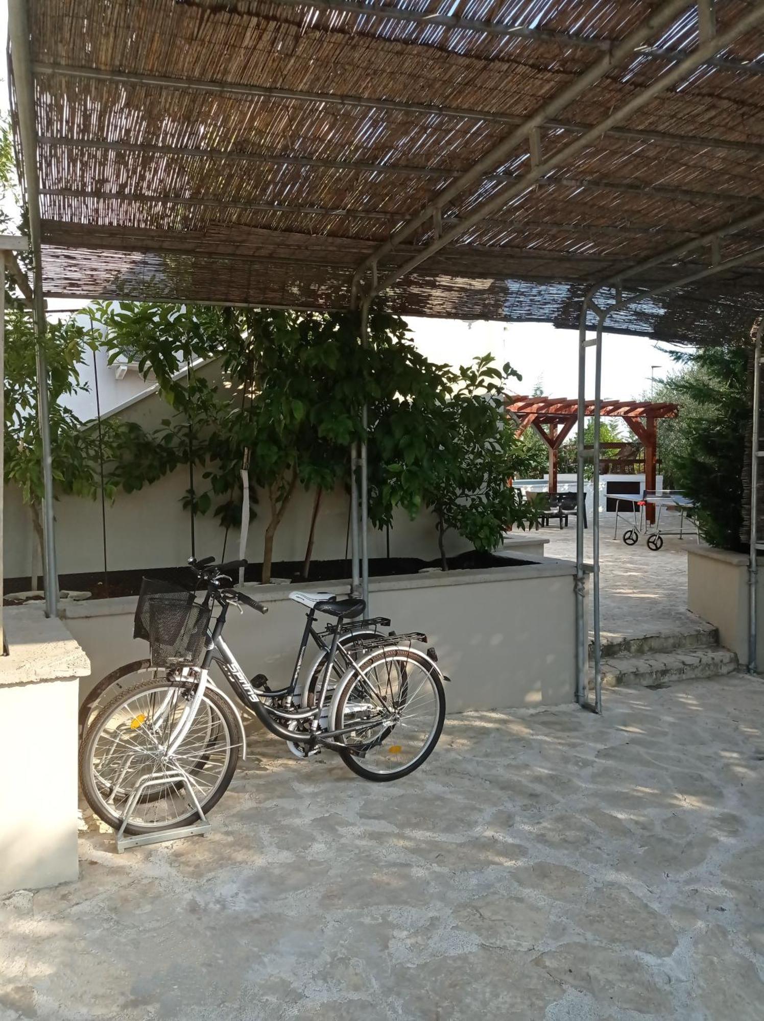 Villa Niko With Private Swimming Pool Zadar Exterior foto
